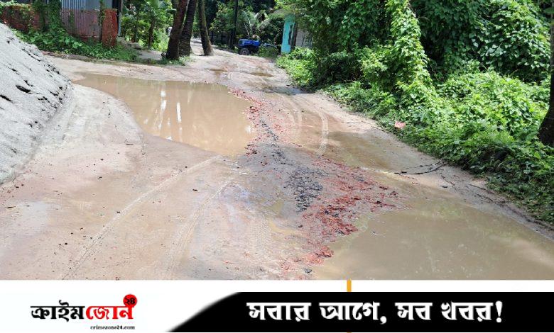 গর্তে ভরা ৩ কিলোমিটার পথ, ভোগান্তি চরমে