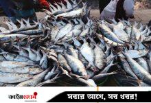 কলকাতার বাজারে অনিশ্চিত বাংলাদেশের ইলিশ, বিকল্প আশা মিয়ানমার-গুজরাট