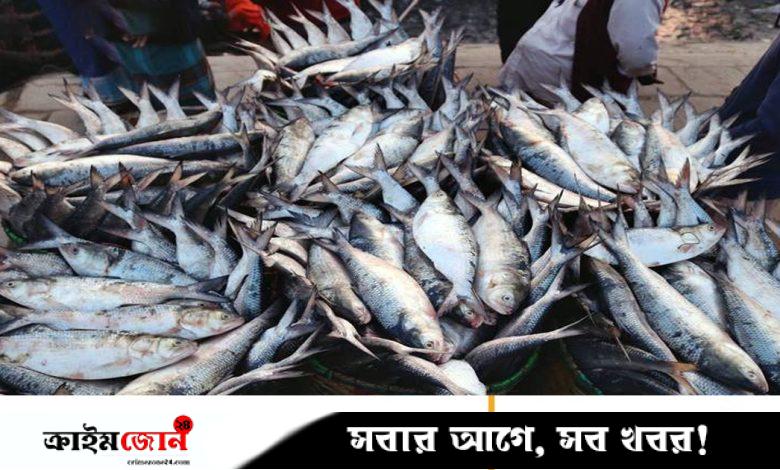 কলকাতার বাজারে অনিশ্চিত বাংলাদেশের ইলিশ, বিকল্প আশা মিয়ানমার-গুজরাট
