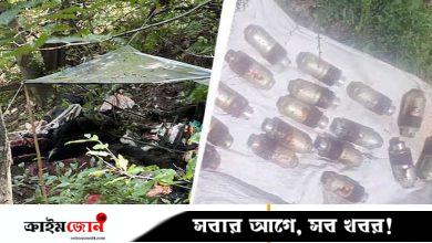 জম্মু-কাশ্মীরের শ্রীনগরে ভারতীয় বাহিনীর গুলিতে নিহত ৩