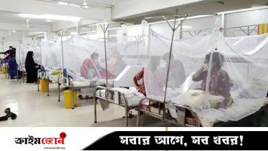ডেঙ্গুতে আরও ২ জনের মৃত্যু, নতুন আক্রান্ত ৩৯৪ জন