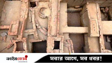 ভারতে প্রাচীন এক সভ্যতার আবিষ্কার বদলে দিতে পারে আগের সব হিসাব