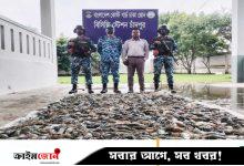 চাঁদপুরে ৩৯০ কেজি জেলিযুক্ত চিংড়ি জব্দ