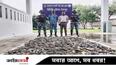 চাঁদপুরে ৩৯০ কেজি জেলিযুক্ত চিংড়ি জব্দ