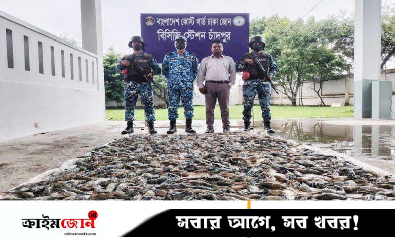 চাঁদপুরে ৩৯০ কেজি জেলিযুক্ত চিংড়ি জব্দ