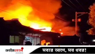 লক্ষ্মীপুরে অগ্নিকাণ্ডে পুড়ে গেল ১০ দোকান, কোটি টাকার ক্ষতি দাবি