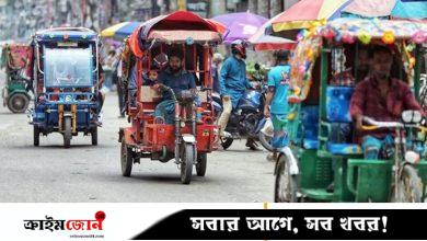 মাস্কের টেসলার দুঃসময়ে বাংলাদেশে ফুলে ফেঁপে উঠেছে ‘বাংলার টেসলার’ বাজার