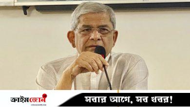 ভ্রান্ত সমাজতান্ত্রিক কাঠামো থেকে অর্থনৈতিক সাম্য আনেন জিয়াউর রহমান, বললেন মির্জা ফখরুল