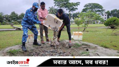চাঁদপুরে আড়তে মিলল জেলিযুক্ত ৪৫ মণ চিংড়ি