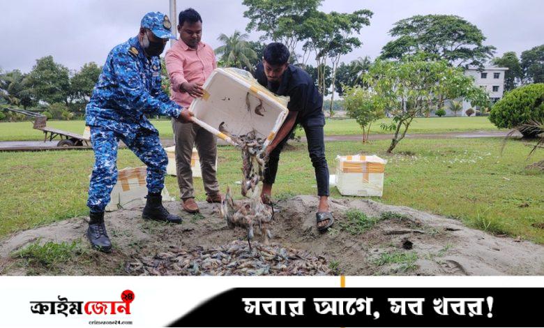 চাঁদপুরে আড়তে মিলল জেলিযুক্ত ৪৫ মণ চিংড়ি
