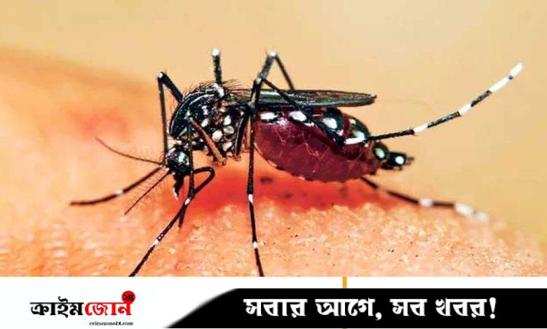 ঝালকাঠিতে ডেঙ্গু আক্রান্ত অন্তঃসত্ত্বা নারীর মৃত্যু