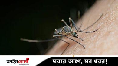 পটুয়াখালীতে ডেঙ্গুতে আক্রান্ত হয়ে স্কুলছাত্রীর মৃত্যু