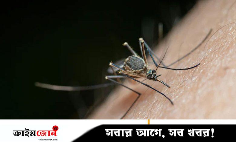 পটুয়াখালীতে ডেঙ্গুতে আক্রান্ত হয়ে স্কুলছাত্রীর মৃত্যু