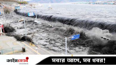 সমুদ্রতল থেকে যেভাবে উঠে আসে ভয়ঙ্কর সুনামি