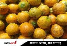 বাংলাদেশ থেকে গত বছর ৫ কোটি ৩০ লাখ ডলারের সুপারি কিনেছে ভারত