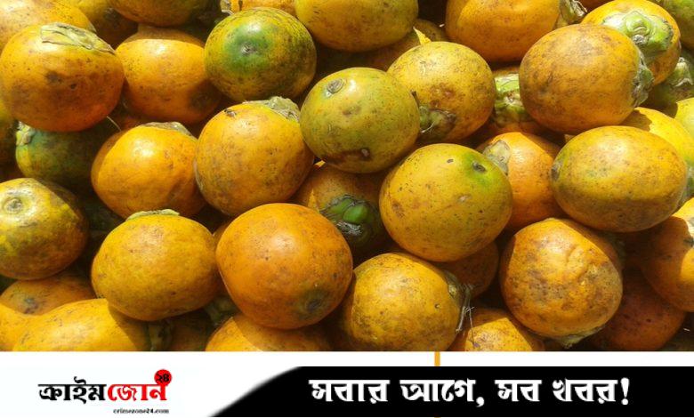 বাংলাদেশ থেকে গত বছর ৫ কোটি ৩০ লাখ ডলারের সুপারি কিনেছে ভারত