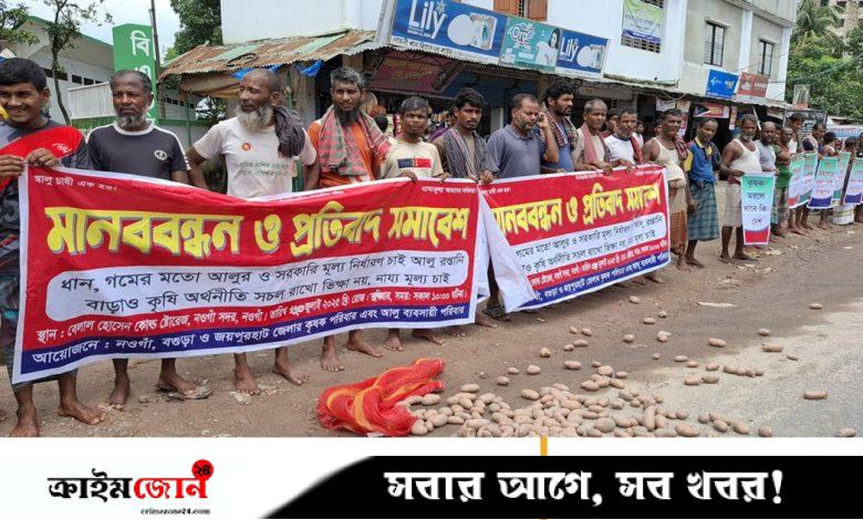 নওগাঁয় সড়কে আলু ফেলে মানববন্ধন