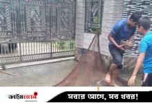 মাছে ভাইরাস সংক্রমণ আর বৃষ্টি-জোয়ারে ডুবেছে ঘের, দুশ্চিন্তায় মাছচাষিরা