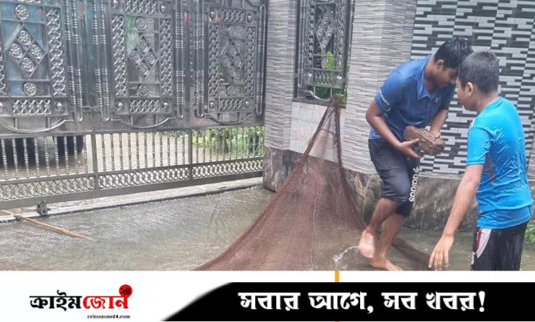 মাছে ভাইরাস সংক্রমণ আর বৃষ্টি-জোয়ারে ডুবেছে ঘের, দুশ্চিন্তায় মাছচাষিরা