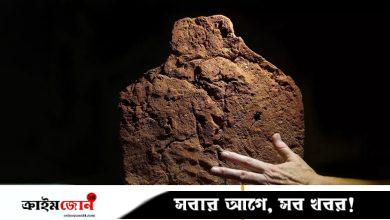 ৪ হাজার বছরের পুরোনো হাতের ছাপ খুঁজে পেলেন যুক্তরাজ্যের গবেষকেরা