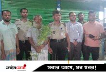 সবজির আড়ালে চাষ হচ্ছিল গাঁজা, গাছসহ চাষি আটক