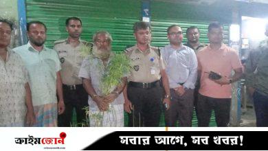সবজির আড়ালে চাষ হচ্ছিল গাঁজা, গাছসহ চাষি আটক