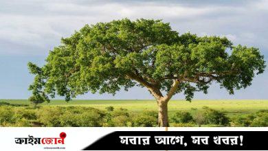 বৃক্ষরোপণ—সবুজে আঁকা ইবাদতের ছবি