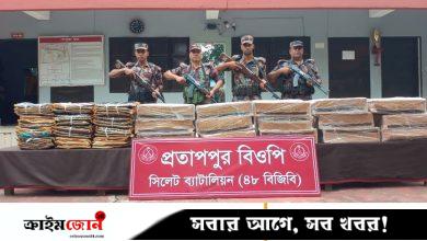 সিলেটে সোয়া ১ কোটি টাকার চোরাচালানি পণ্য জব্দ