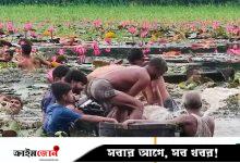 শাপলা বিলে ঘুরতে গিয়ে প্রাণ গেল দুজনের