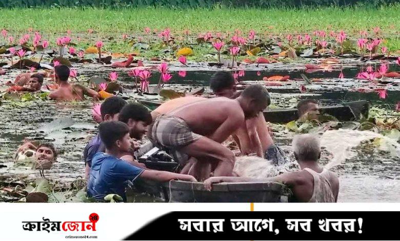 শাপলা বিলে ঘুরতে গিয়ে প্রাণ গেল দুজনের