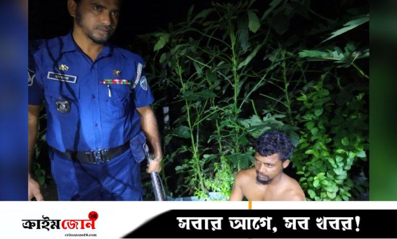ভাঙারি ব্যবসার আড়ালে গাঁজা চাষ