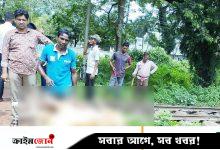 কৃষি বিশ্ববিদ্যালয়ে ট্রেনে কাটা পড়ে ২২ ভেড়ার মৃত্যু