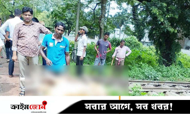 কৃষি বিশ্ববিদ্যালয়ে ট্রেনে কাটা পড়ে ২২ ভেড়ার মৃত্যু