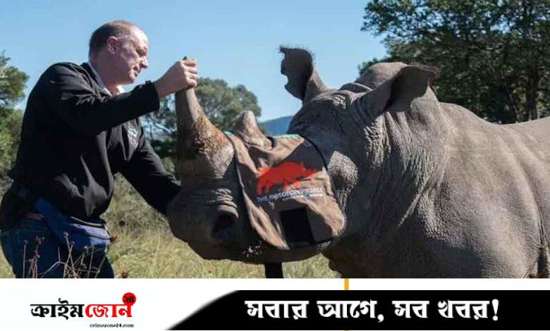 চোরা শিকার রুখতে গন্ডার শিংয়ে তেজস্ক্রিয় পদার্থ!