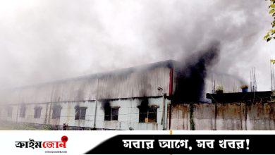 মানিকগঞ্জে ব্যাগের কারখানায় আগুন, ৬৫ কোটি টাকার ক্ষতি