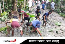রাজাপুরে কর্দমাক্ত রাস্তায় কচুগাছ লাগিয়ে প্রতিবাদ
