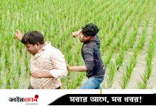 ‘অনিয়ম হয়নি’ বলায় এলজিইডি কর্মচারীকে পিটুনি