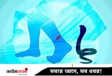 সাপের কামড়ে কিশোর-কিশোরীর মৃত্যু