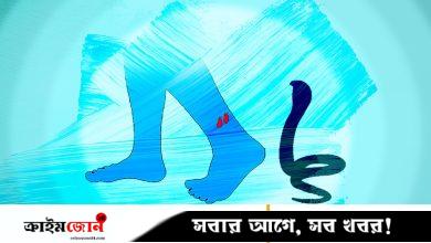 সাপের কামড়ে কিশোর-কিশোরীর মৃত্যু