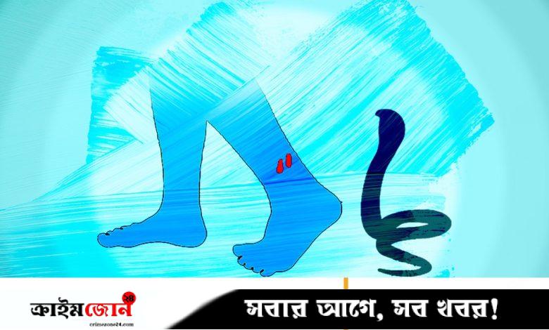 সাপের কামড়ে কিশোর-কিশোরীর মৃত্যু