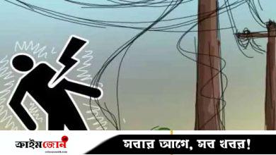 বিদ্যুতায়িত ছেলেকে বাঁচাতে গিয়ে প্রাণ গেল মায়েরও