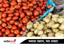 টমেটোর সংকর থেকে যেভাবে আলু এল, জানা গেল গবেষণায়