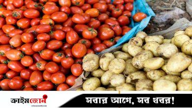 টমেটোর সংকর থেকে যেভাবে আলু এল, জানা গেল গবেষণায়