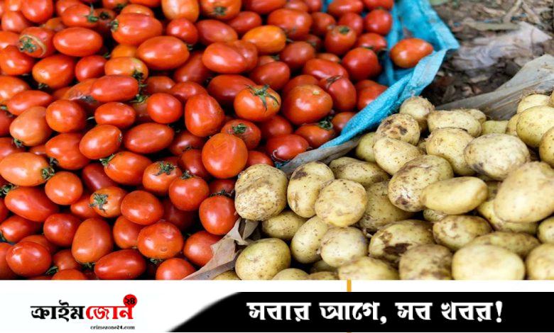 টমেটোর সংকর থেকে যেভাবে আলু এল, জানা গেল গবেষণায়