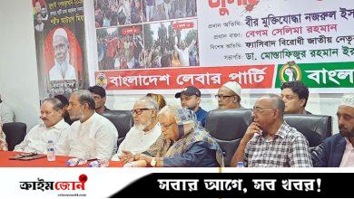 ফ্যাসিবাদ গিয়েছে, গণতন্ত্র এখনো আসেনি: নজরুল ইসলাম খান