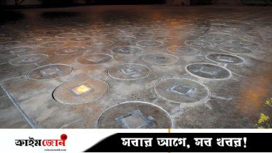যুক্তরাষ্ট্রের পারমাণবিক স্থাপনায় বোলতার বাসায় তেজস্ক্রিয়তা নিয়ে উদ্বেগ