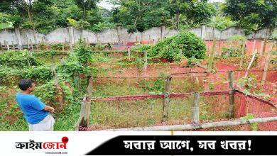 ছেলের কবরের স্মৃতিচিহ্ন সংরক্ষণের আকুতি মা-বাবার