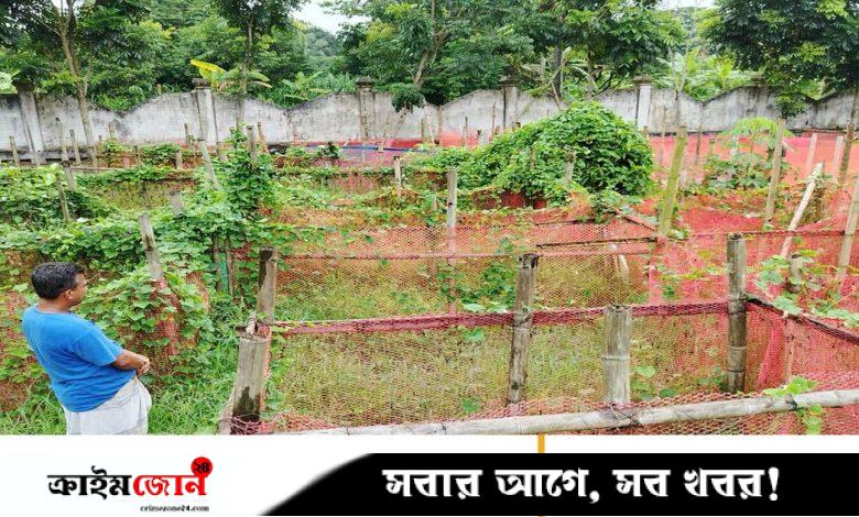ছেলের কবরের স্মৃতিচিহ্ন সংরক্ষণের আকুতি মা-বাবার