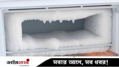 ফ্রিজের বরফ পরিষ্কারের ৭ সহজ উপায়