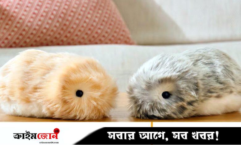 জাপানে নিঃসঙ্গ নারীদের সঙ্গী তুলতুলে এআই রোবট